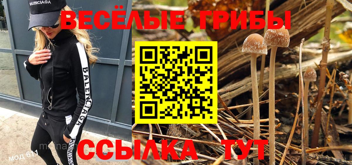 Галлюциногенные грибы прущие грибы Шахты